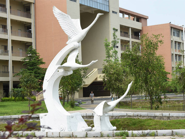 Fڴ˂ϲgP䓵߀ǾP䓵